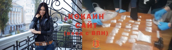 spice Няндома