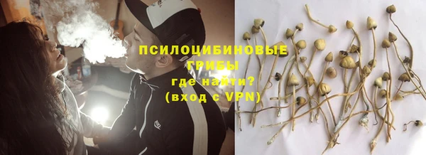 герыч Новозыбков