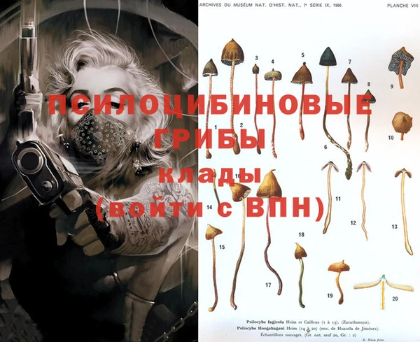 мет Новодвинск