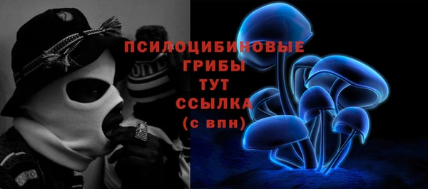 герыч Новозыбков