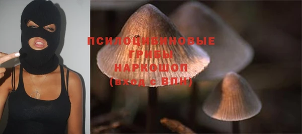 МДПВ Нязепетровск