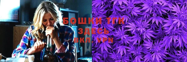 spice Няндома