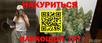 дмт Будённовск