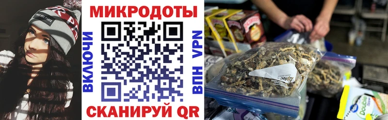 блэк спрут зеркало  Каменка  Галлюциногенные грибы ЛСД 
