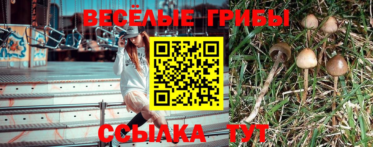 Галлюциногенные грибы прущие грибы  Псилоцибиновые грибы прущие грибы  Вход с VPN  Каменка 