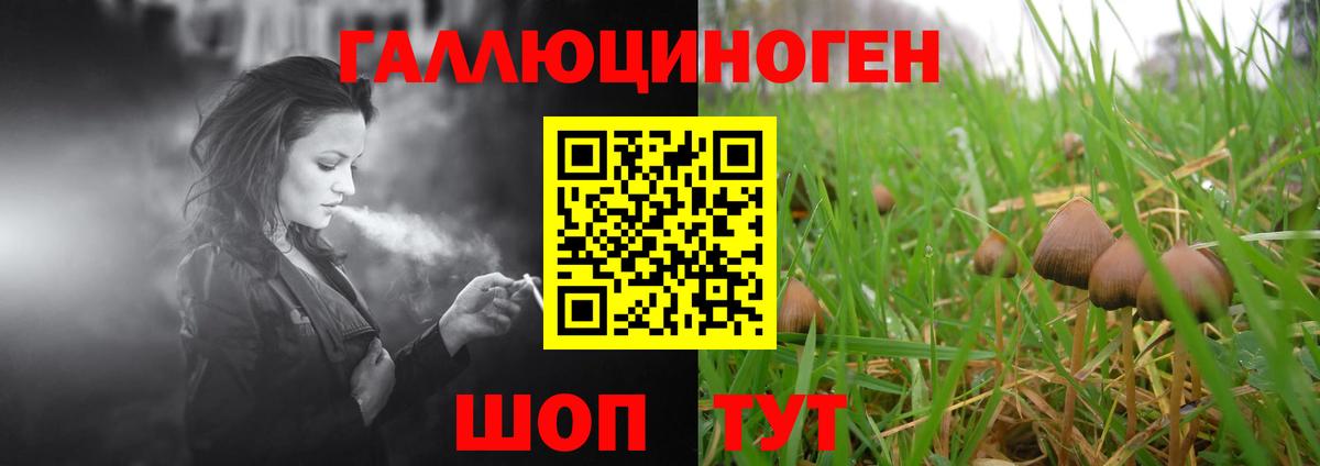 Псилоцибиновые грибы MAGIC MUSHROOMS Каменка