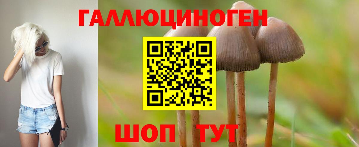 Псилоцибиновые грибы MAGIC MUSHROOMS  Каменка  Галлюциногенные грибы GOLDEN TEACHER 
